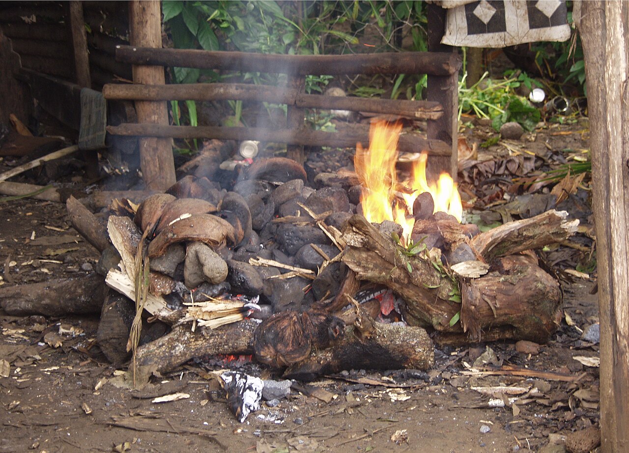 Real photograph of a Polynesian earth oven with heated stones